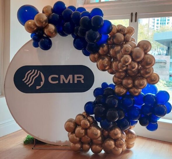 balloon garland - balloons Sydney -party decor